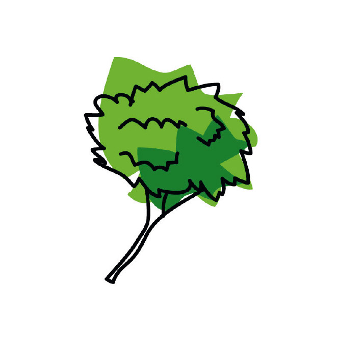 logo plantes